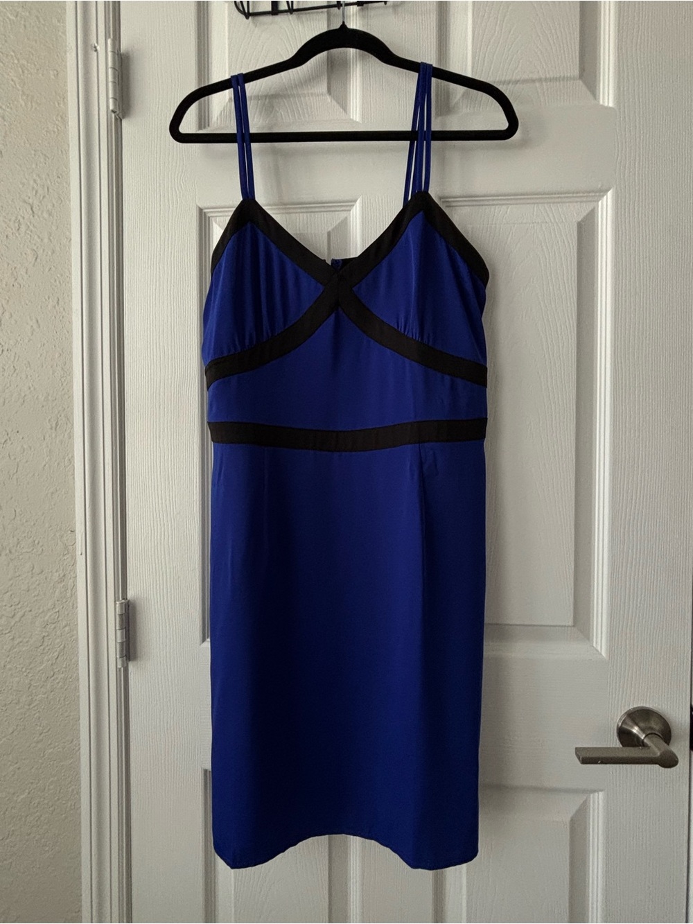 bebe Royal Blue Dress with Black Trim